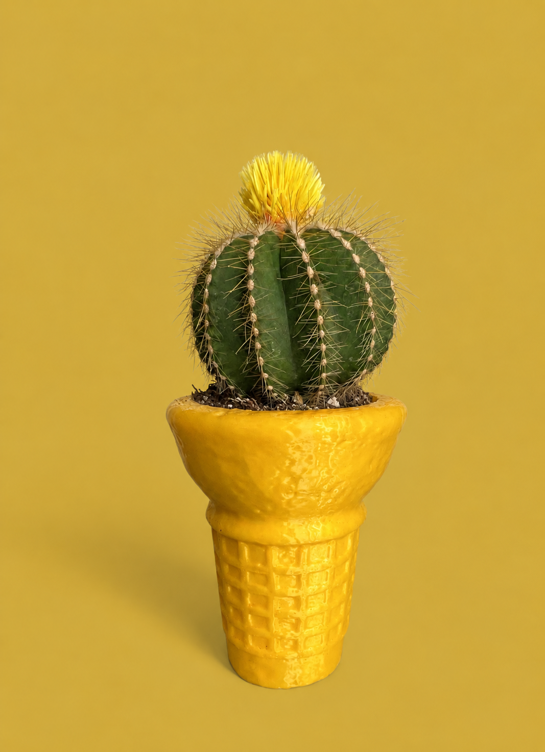 Gaufrette conique