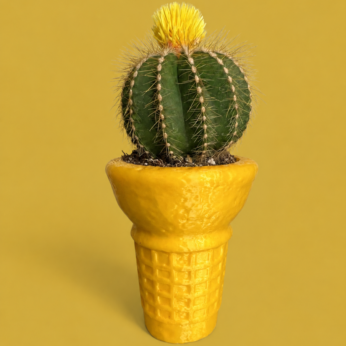 Gaufrette conique