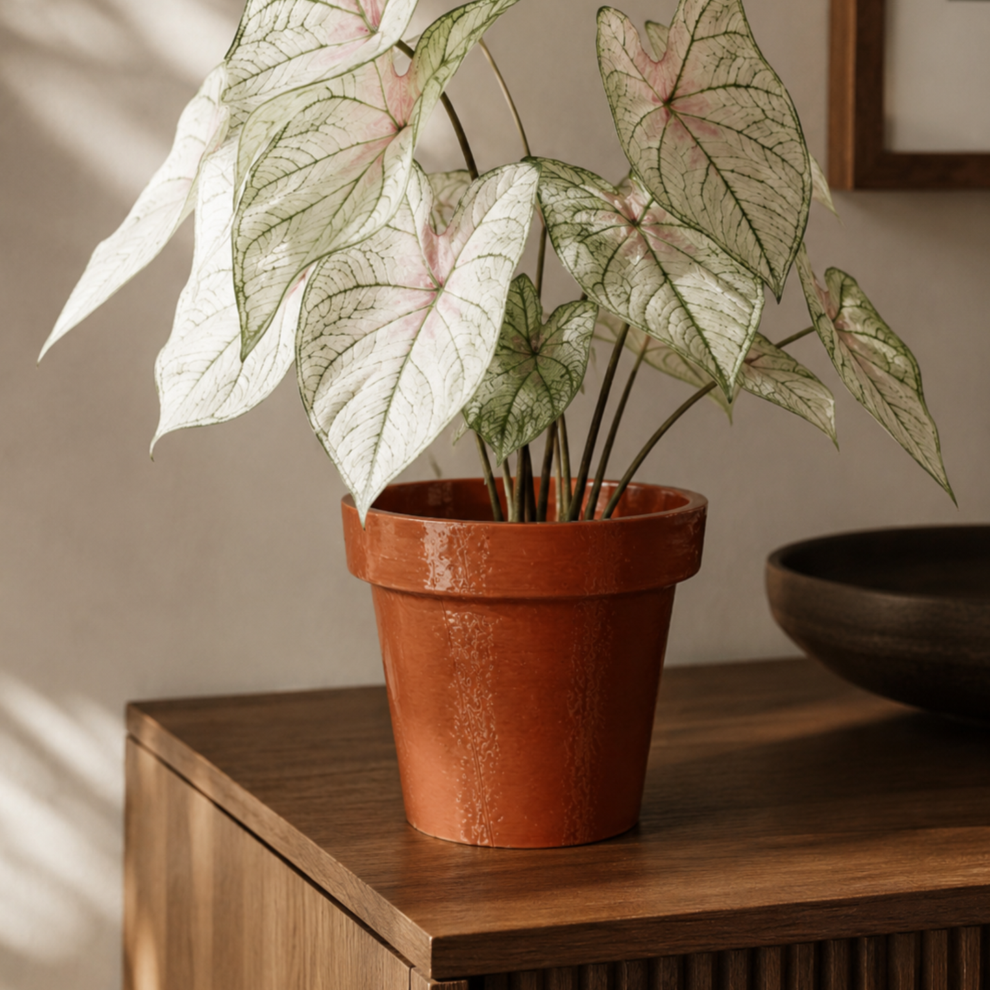 Essential Indoor planter